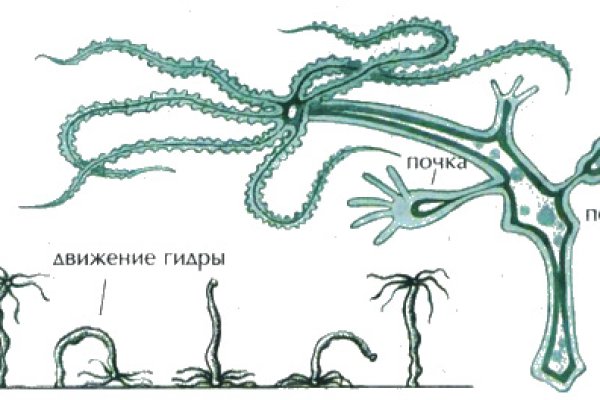 Мега вход ссылка онион