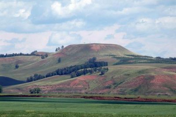 Рабочее зеркало блэкспрут киев