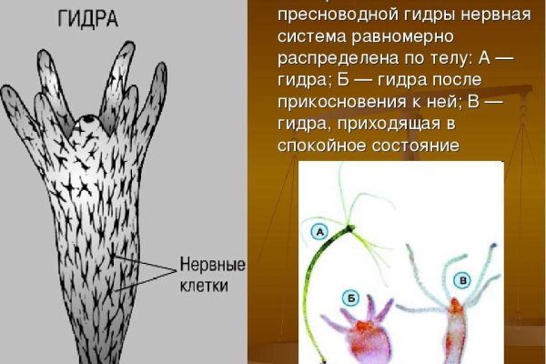 Как загрузить фото на кракен