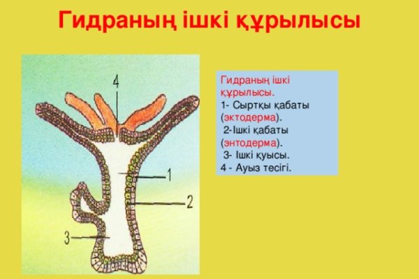 Кракен онион сайт оригинал kraken6.at kraken7.at kraken8.at